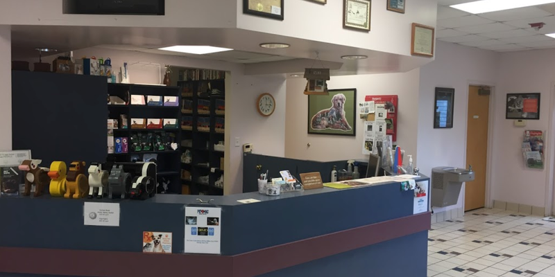 Veterinary Clinic in Spartanburg, SC | Pet-Vac Animal Hospital Veterinary Clinic in Spartanburg, SC | Pet-Vac Animal Hospital